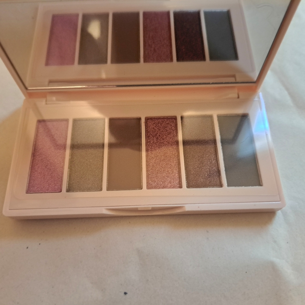 New Colored Raine eyeshadow  palette   Vineyard  Soiree